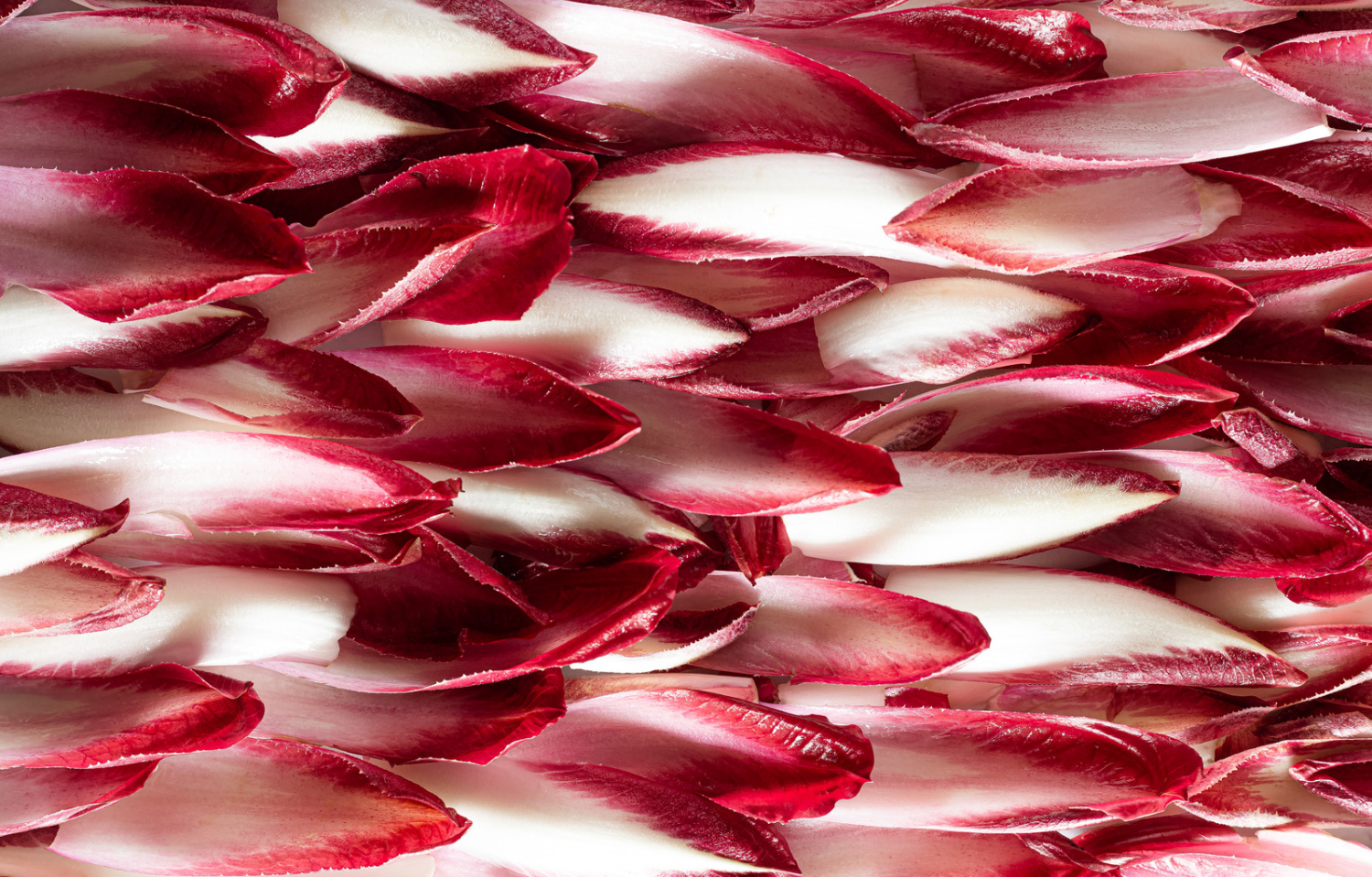 Inulina - inteligentne wsparcie mikrobiomu skóry