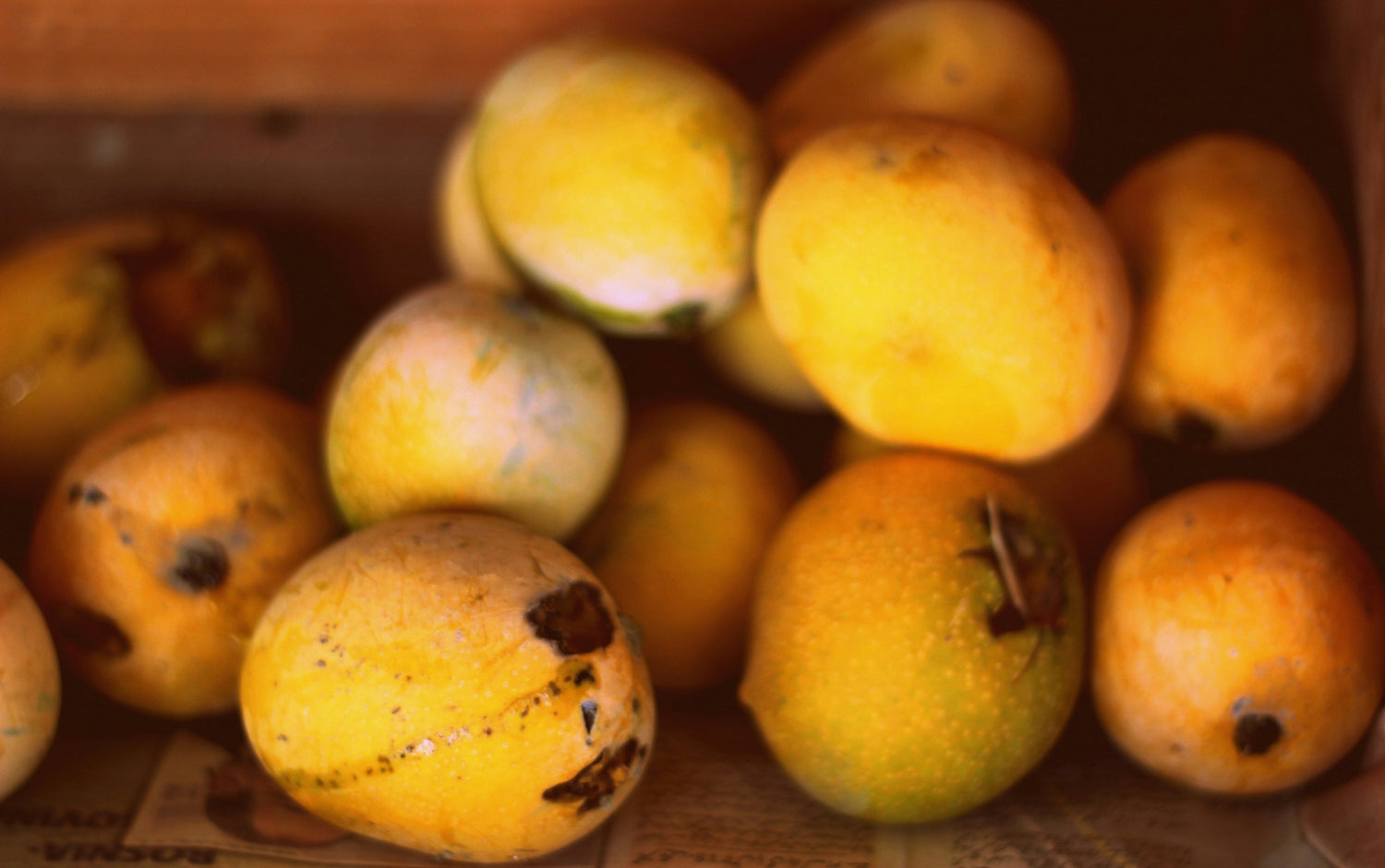 Masło mango - ochrona przed odwodnieniem
