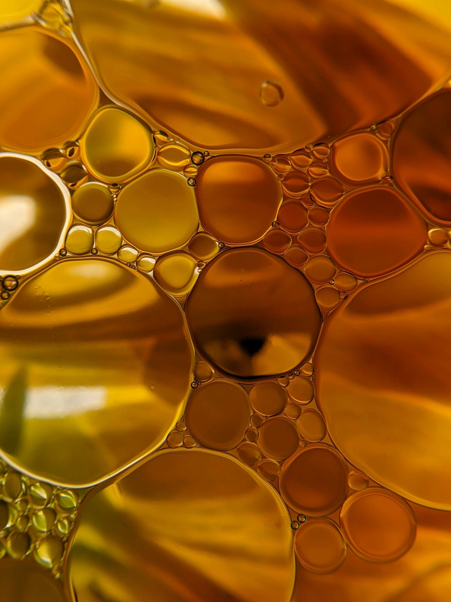 Skwalan – lipid, który rozumie skórę
